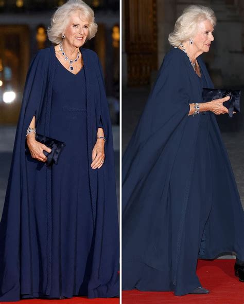 queen camilla dior dress|camilla dior gown.